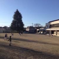 2015年チーム始動。